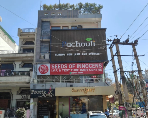 About Seeds of Innocens IVF Centre Pitampura