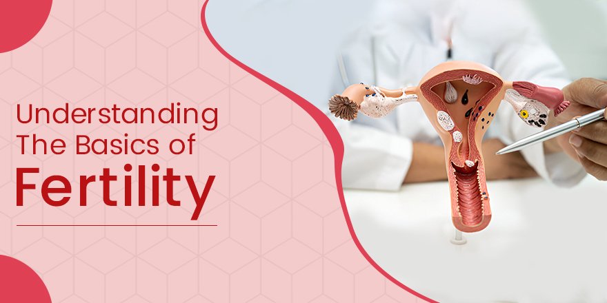 Fertility