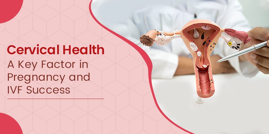 Cervical Health