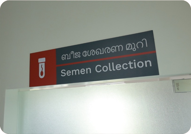 12 kasaragod